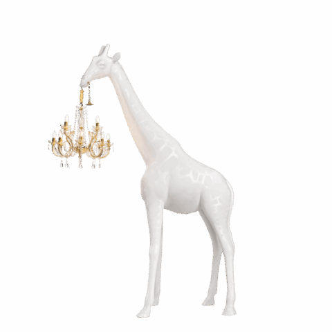 Giraffe In Love M White Indoor