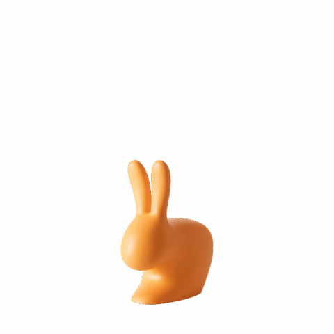 Rabbit Xs Door Stopper Orange