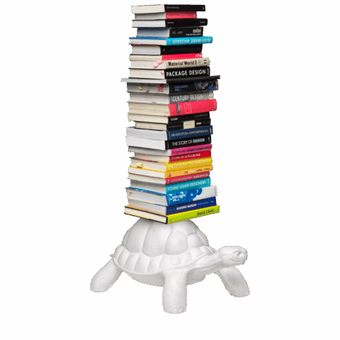 Turtle Carry Bookshelf White